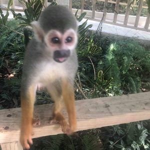 Meet your Posher, Eric